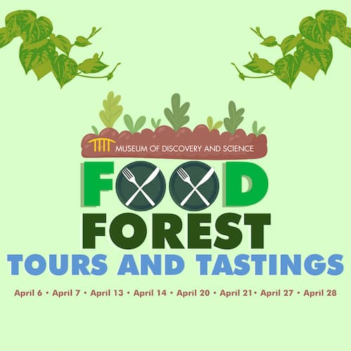 Food-Forest-tour-and-tastings-1080-x-1080-px